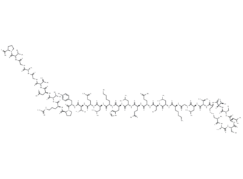 Calcitonin (chicken)