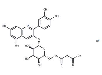 Cyanidin 3-(6''-malonylglucoside)