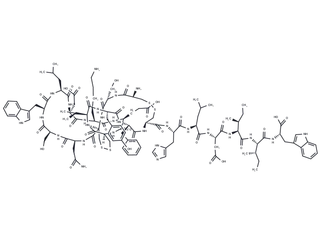 Vasoactive intestinal contractor CgoaEGa8jwSEQZhoAAAAANEvZJE103- Immunomart