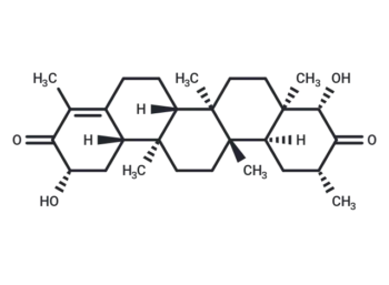 Triptocalline A