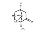 (-)-CAMPHOR