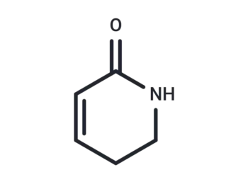 5,6-Dihydropyridin-2(1H)-one