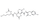 Acetyl tetrapeptide-2