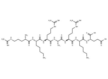 PKG inhibitor peptide