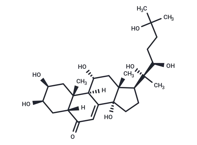 Turkesterone CgoaEGayN2OEKYoLAAAAALi w9o476- Immunomart