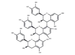 PROCYANIDIN C1