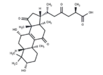 Ganoderic acid B