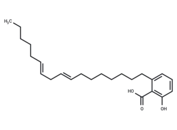 (E/Z)-Ginkgolic acid C17:2