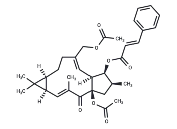 Euphorbia factor L7a