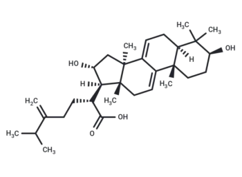 Dehydrotumulosic acid