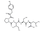 Gluten Exorphin C
