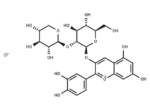 Cyanidin 3-sambubioside chloride