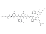 Small Cardioactive Peptide B (SCPB)