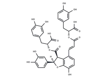 Salvianolic acid Y