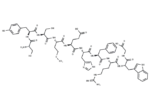 Adrenocorticotropic Hormone (ACTH) (1-10), human 1 Adrenocorticotropic Hormone (ACTH) (1-10)