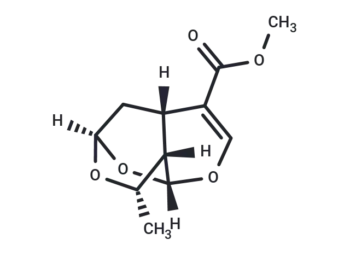 Sarracenin