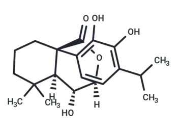 Isorosmanol