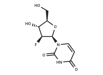 1-(2-Deoxy-2-fluoro-beta-D-arabinofuranosyl)uracil