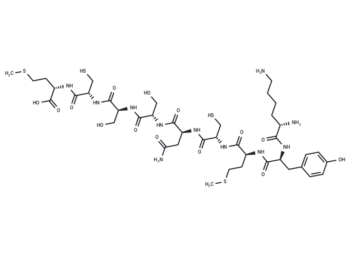 p53 (232-240)