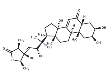 24-Hydroxycyasterone