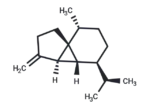 β-Cubebene
