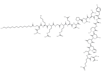 S-palm P0(180–199)
