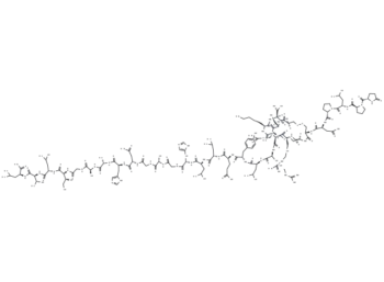 Orexin A (human, rat, mouse)