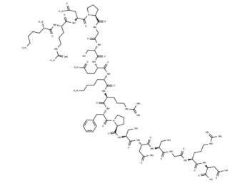 Phosphorylase Kinase β-Subunit Fragment (420-436)