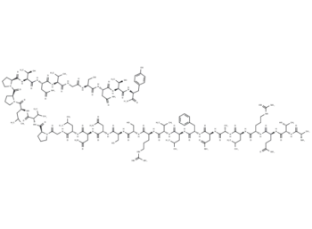 Amylin (8-37), rat