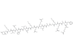 Protein Kinase C (19-36)