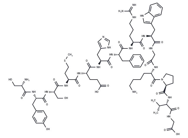 ACTH (1-14) CgoaEGbZkGmEJrvpAAAAAHAfHPc862- Immunomart