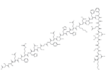 β-Amyloid (1-28)