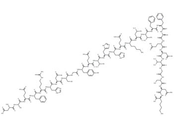 β-Amyloid (1-28)