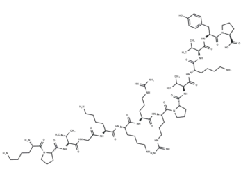 ACTH (11-24)
