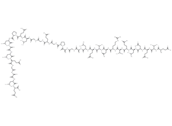 C-Peptide, dog