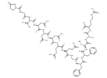 Fibrinopeptide B, human