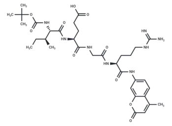 Boc-Ile-Glu-Gly-Arg-AMC