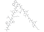 β-Amyloid (12-28)