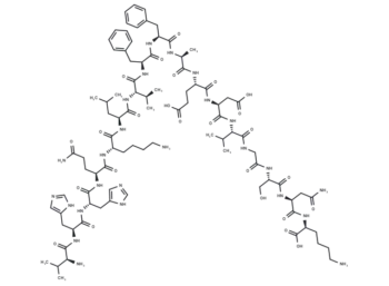 β-Amyloid (12-28)