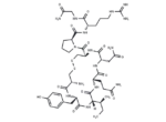 [Arg8]-Vasotocin