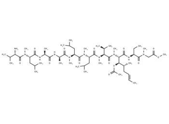 Cyclosporin A-Derivative 2