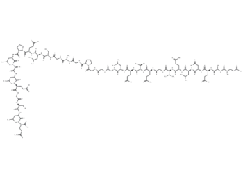 Proinsulin C-peptide (human)