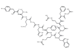 γ-2-MSH (41-58)