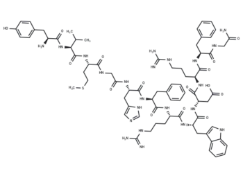 γ-2-MSH (41-58), amide