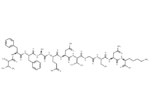β-Amyloid (18-28)
