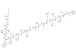 β-Amyloid Protein Precursor 770 (135-155)