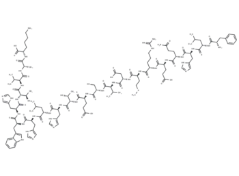 β-Amyloid Protein Precursor 770 (135-155)