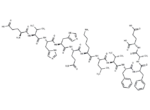 β-Amyloid (11-22)