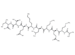 HIV gag peptide (197-205)