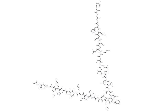 β-Endorphin
